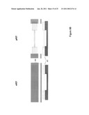 Multiple Orientation Nanowires With Gate Stack Stressors diagram and image