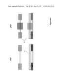 Multiple Orientation Nanowires With Gate Stack Stressors diagram and image