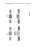 Multiple Orientation Nanowires With Gate Stack Stressors diagram and image