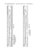 Simplified Silicon Drift Detector and Wraparound Neutron Detector diagram and image