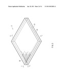 PROTRUSION PATTERN FORMING DEVICE WITH DISPLAY FUNCTION diagram and image