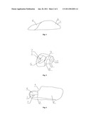 HUMAN BODY ENGINEERIN MOUSE diagram and image