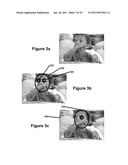 Digital Image Processing Using Face Detection and Skin Tone Information diagram and image