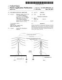 Polarized lightning arrestors diagram and image