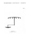 Polarized lightning arrestors diagram and image