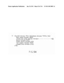 INFORMATION PLAYBACK SYSTEM USING INFORMATION STORAGE MEDIUM diagram and image