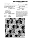 LASER-PRODUCED POROUS STRUCTURE diagram and image