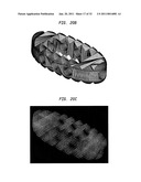 LASER-PRODUCED POROUS STRUCTURE diagram and image