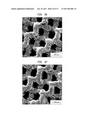 LASER-PRODUCED POROUS STRUCTURE diagram and image