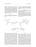 TRIFUNCTIONAL IMAGING AGENT FOR MONOCLONAL ANTIBODY TUMOR-TARGETED IMAGING diagram and image