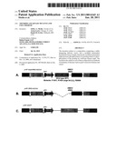 Thymidylate Kinase Mutants and Uses Thereof diagram and image