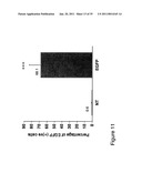 Thymidylate Kinase Mutants and Uses Thereof diagram and image