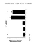 Thymidylate Kinase Mutants and Uses Thereof diagram and image