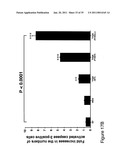 Thymidylate Kinase Mutants and Uses Thereof diagram and image