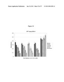 IL23 MODIFIED VIRAL VECTOR FOR RECOMBINANT VACCINES AND TUMOR TREATMENT diagram and image