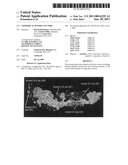 Chimeric flavivirus vectors diagram and image