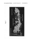 Chimeric flavivirus vectors diagram and image