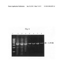 Chimeric flavivirus vectors diagram and image