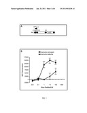 SINGLE CYCLE REPLICATING ADENOVIRUS VECTORS diagram and image