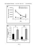 SINGLE CYCLE REPLICATING ADENOVIRUS VECTORS diagram and image