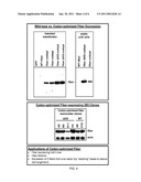 SINGLE CYCLE REPLICATING ADENOVIRUS VECTORS diagram and image