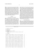 SINGLE CYCLE REPLICATING ADENOVIRUS VECTORS diagram and image