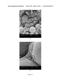 GRADIENT COATING FOR BIOMEDICAL APPLICATIONS diagram and image