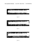 GRADIENT COATING FOR BIOMEDICAL APPLICATIONS diagram and image