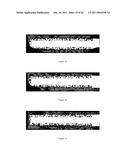 GRADIENT COATING FOR BIOMEDICAL APPLICATIONS diagram and image