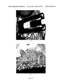 GRADIENT COATING FOR BIOMEDICAL APPLICATIONS diagram and image