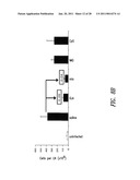 VACCINE COMPOSITION CONTAINING SYNTHETIC ADJUVANT diagram and image