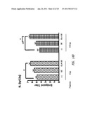 VACCINE COMPOSITION CONTAINING SYNTHETIC ADJUVANT diagram and image