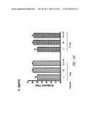 VACCINE COMPOSITION CONTAINING SYNTHETIC ADJUVANT diagram and image