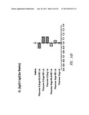 VACCINE COMPOSITION CONTAINING SYNTHETIC ADJUVANT diagram and image