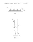 CLEAVAGE KIT, AND GENE THERAPY BY USING THE SAME AND NUCLEIC ACID CLEAVAGE DETECTION APPARATUS diagram and image