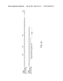 CLEAVAGE KIT, AND GENE THERAPY BY USING THE SAME AND NUCLEIC ACID CLEAVAGE DETECTION APPARATUS diagram and image