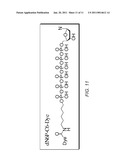 POLYMERASE COMPOSITIONS & METHODS diagram and image