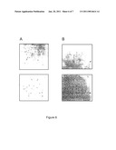 Method of profiling gene expression in a subject having an infectious disease diagram and image