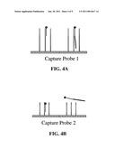 Methods and Systems for Detecting Nucleic Acids diagram and image