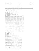 NUCLEIC ACIDS ENCODING T2R, A NOVEL FAMILY OF TASTE RECEPTORS diagram and image