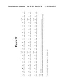 Norovirus and sapovirus antigens diagram and image