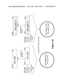 Norovirus and sapovirus antigens diagram and image