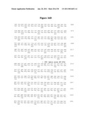 Norovirus and sapovirus antigens diagram and image