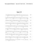 Norovirus and sapovirus antigens diagram and image