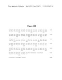 Norovirus and sapovirus antigens diagram and image