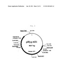 CELL FOR USE IN PROUDUCTION OF HETEROPROTEINS AND PRODUCTION METHOD USING THE SAME diagram and image