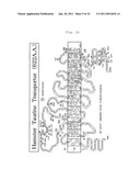 CELL FOR USE IN PROUDUCTION OF HETEROPROTEINS AND PRODUCTION METHOD USING THE SAME diagram and image