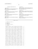 CELL FOR USE IN PROUDUCTION OF HETEROPROTEINS AND PRODUCTION METHOD USING THE SAME diagram and image