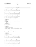 CELL FOR USE IN PROUDUCTION OF HETEROPROTEINS AND PRODUCTION METHOD USING THE SAME diagram and image