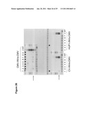 Production of Oil in Microorganisms diagram and image